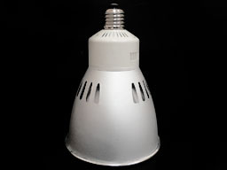 Spot LED PAR38 10W Domag